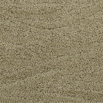 Close-up of the Taittinger On Trend Carpet in Creekside, featuring a looped pile and subtle wavy patterns for a soft, plush texture that brings luxurious style to your flooring.