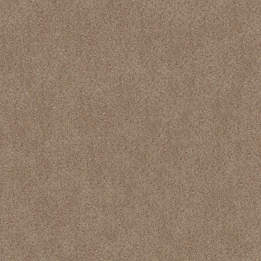 Close-up view of Canyon Lake Family Friendly Carpet in Crushed Pearl, featuring fine, evenly distributed fibers in subtle tones that create a stylish, textured look—ideal for modern, durable family spaces.