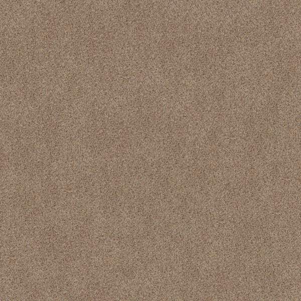 Close-up view of Canyon Lake Family Friendly Carpet in Crushed Pearl, featuring fine, evenly distributed fibers in subtle tones that create a stylish, textured look—ideal for modern, durable family spaces.