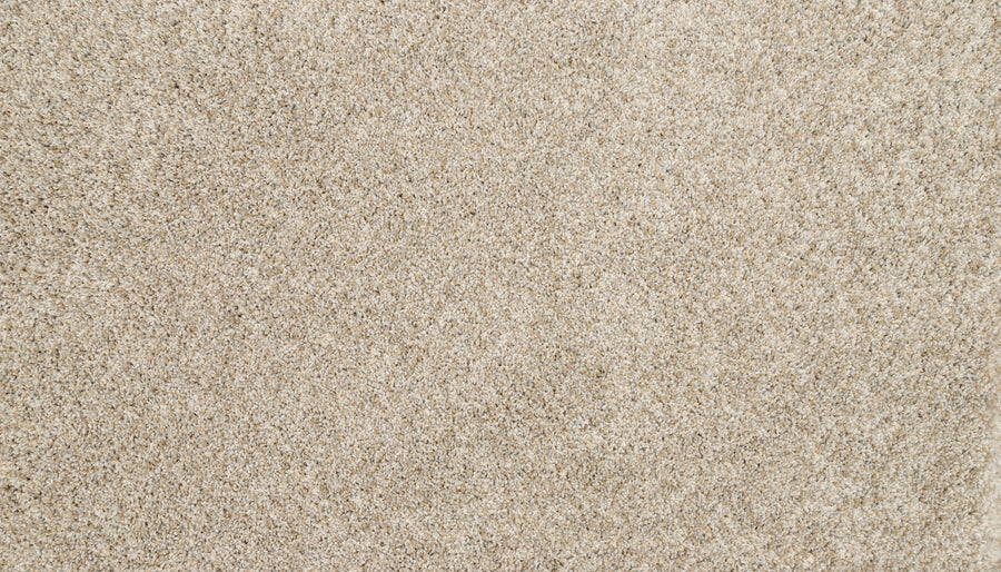 Close-up view of Furocious I Pet Friendly Carpet in beige, featuring a plush, slightly speckled surface and dense fibers for a cozy, inviting look—perfect for interior design and homes with pets.