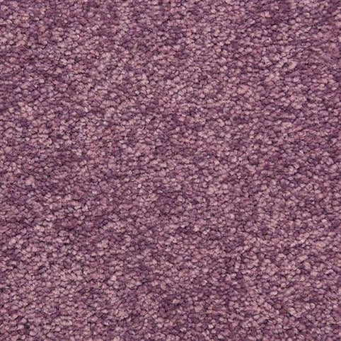 Close-up view of the Morgan Bay Family Friendly Carpet in Cupcake, a loop-pile design with subtle color variations, highlighting its soft, dense surface—perfect for comfort and durability in active family homes.