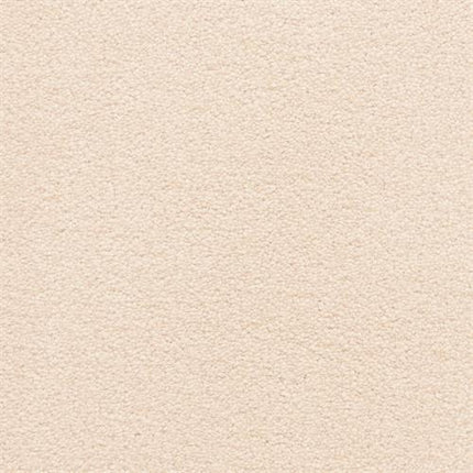 A close-up of the Grand Isle Family Friendly Carpet in Custard shows its soft, uniform texture and inviting beige color, ideal for a cozy and durable flooring option.