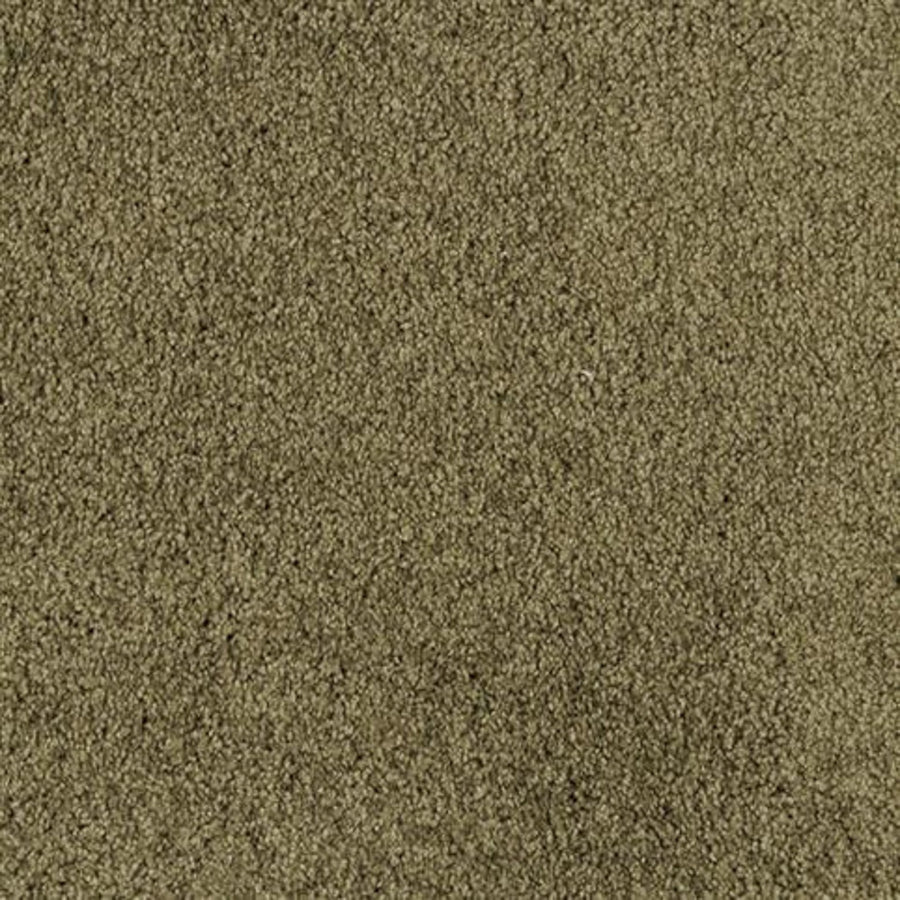 Close-up view of Oceanside Family Friendly Carpet in Cypress—this soft, plush flooring features densely packed fibers for a uniform, slightly fuzzy look, offering comfort and lasting durability ideal for busy family homes.