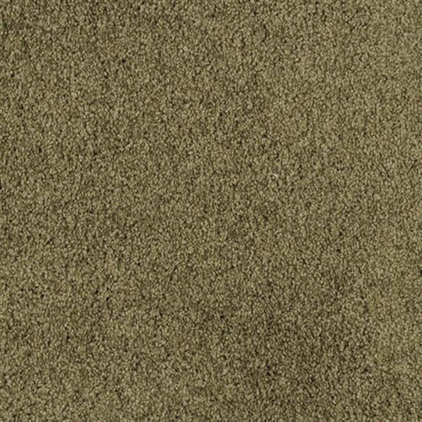 Close-up view of Oceanside Family Friendly Carpet in Cypress—this soft, plush flooring features densely packed fibers for a uniform, slightly fuzzy look, offering comfort and lasting durability ideal for busy family homes.