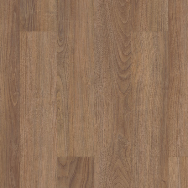 Close-up view of Coretec Originals Classics Vinyl, showcasing a natural brown wooden surface with visible grain patterns and subtle knots, offering smooth texture and realistic wood visuals reminiscent of luxury flooring.