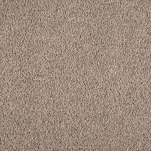 Close-up of Warm Reception Pet Friendly Carpet: beige color with a plush, soft texture and even pile. The clean, uniform surface offers luxurious comfort and a subtle fiber pattern, perfect for both style and pet-friendly homes.