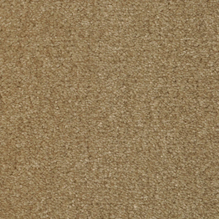 Close-up of Seduction On Trend Carpet in Dapper Tan, showing a soft, uniform surface with tightly woven fibers and small looped tufts in varying shades of tan and light brown for durable elegance.