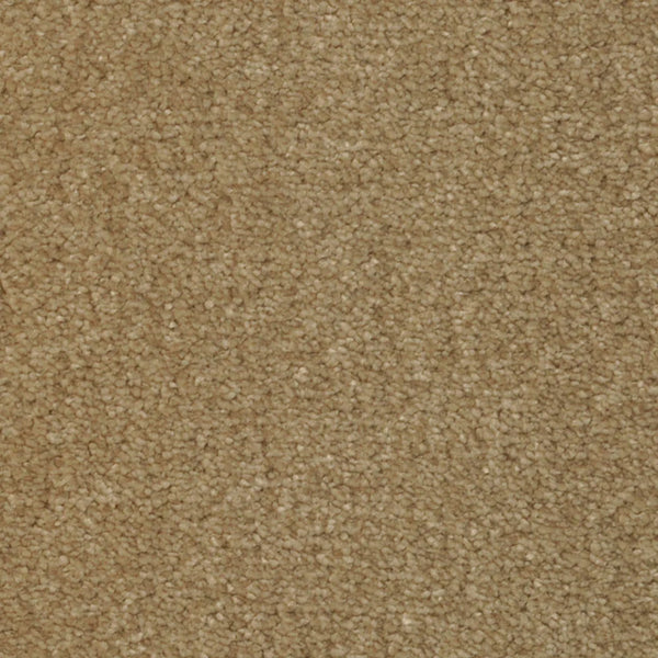 Close-up of Seduction On Trend Carpet in Dapper Tan, showing a soft, uniform surface with tightly woven fibers and small looped tufts in varying shades of tan and light brown for durable elegance.