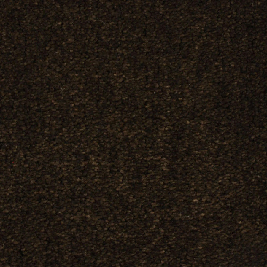 Close-up of Seduction On Trend Carpet in Dark Chocolate, featuring a dense, looped pile with textured surface and subtle shade variations.