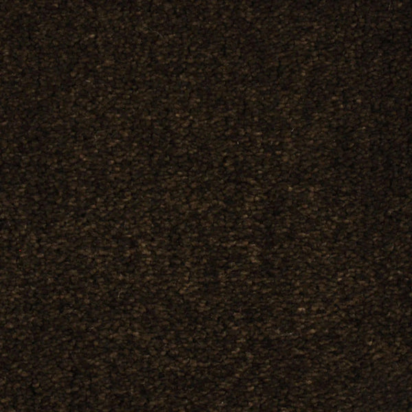 Close-up of Seduction On Trend Carpet in Dark Chocolate, featuring a dense, looped pile with textured surface and subtle shade variations.