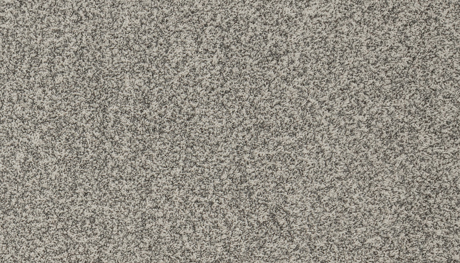 Close-up view of the Aurelia Pet Friendly Carpet, featuring densely packed, gray and white speckled fibers for a soft, plush surface with a subtle mottled look—an ideal premium flooring choice for any home.