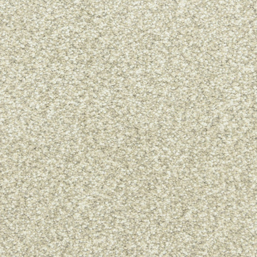 Close-up of Maroon Bells Family Friendly Carpet in Days End, featuring a soft, textured surface with densely packed fibers and an even, neutral beige tone—ideal for family-friendly spaces.