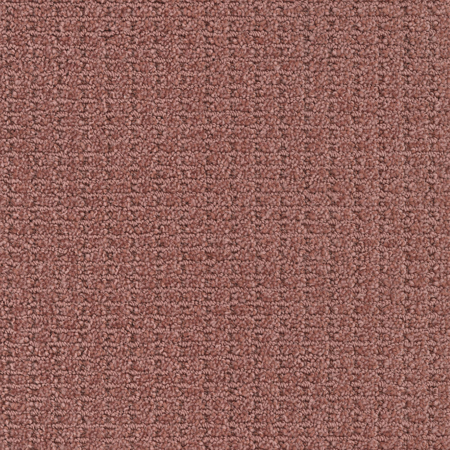 Close-up of Defined Family Friendly Carpet, a textured loop pile in muted mauve or dusty rose with a subtle pattern. This carpet offers soft luxury, even finish, and superior quality—ideal comfort for any home.