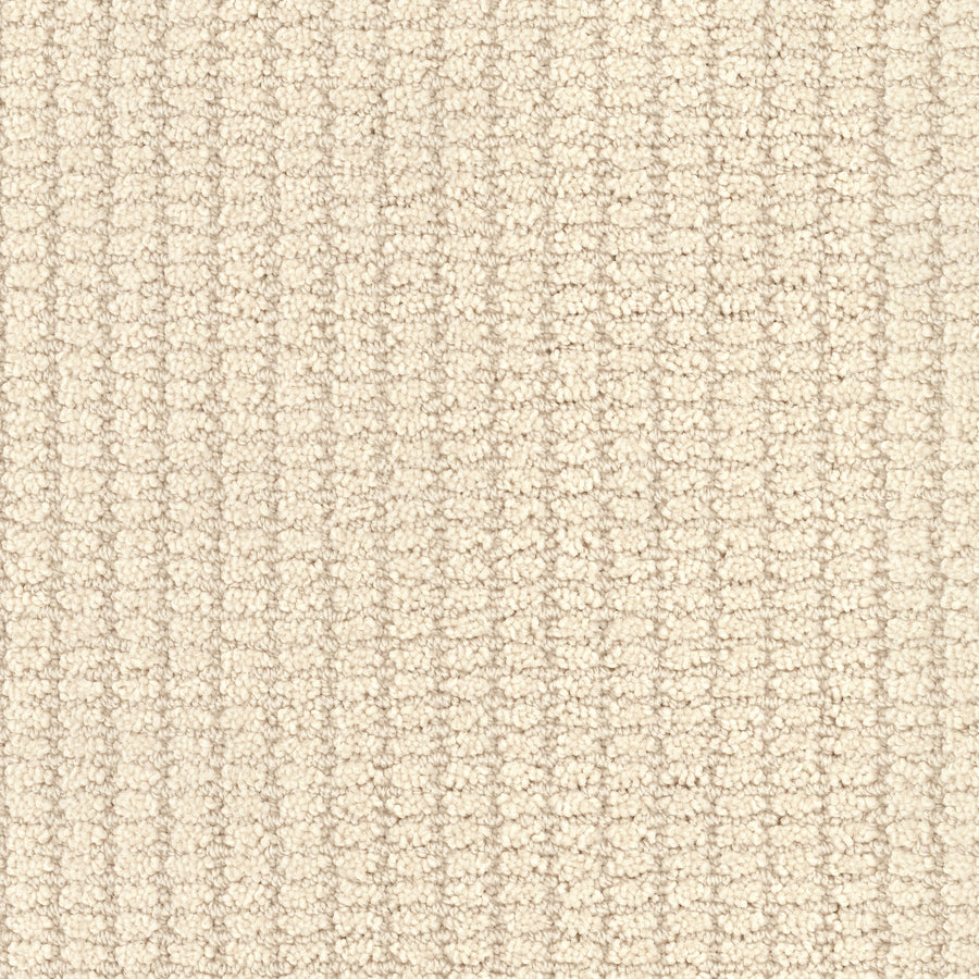 Defined Family Friendly Carpet