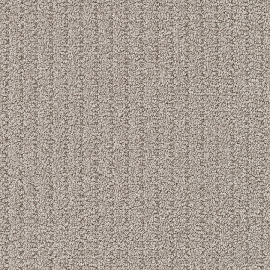 Defined Family Friendly Carpet