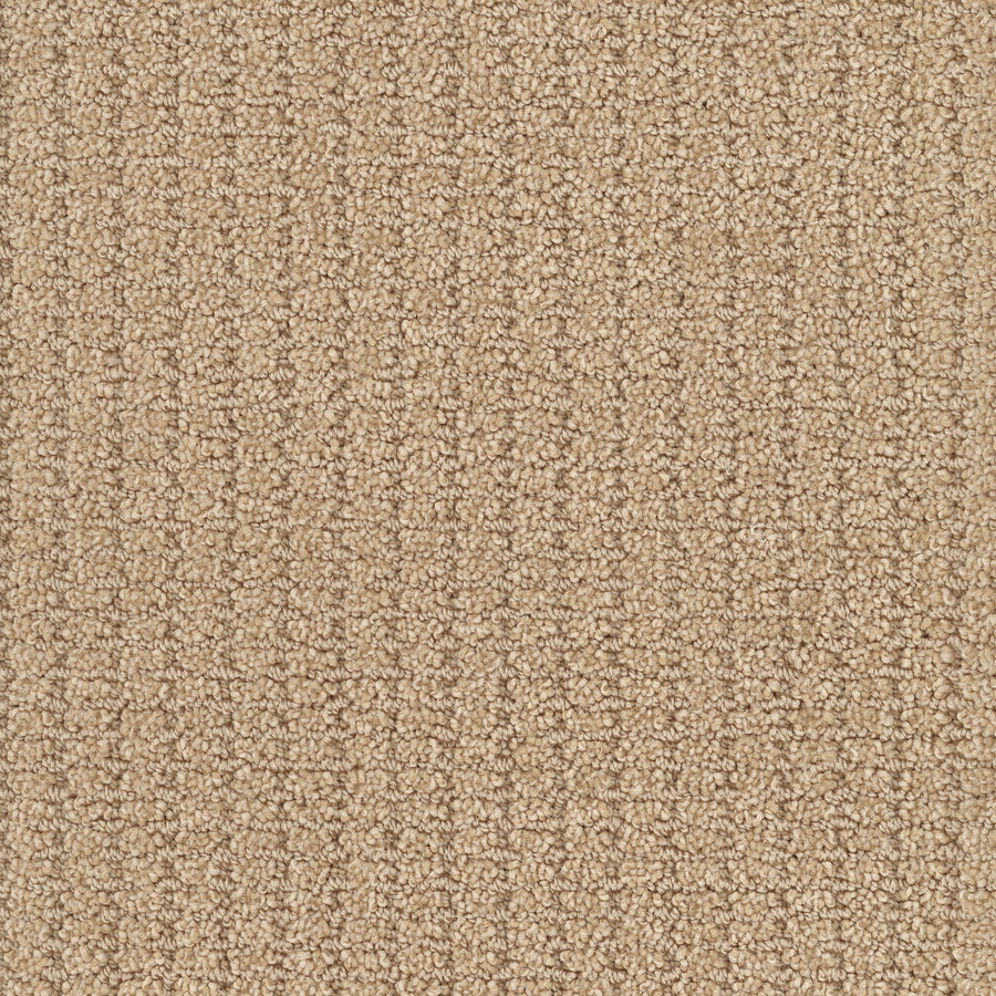 Defined Family Friendly Carpet