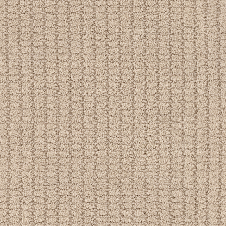 Defined Family Friendly Carpet