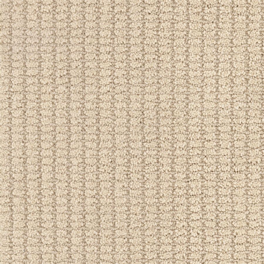 Defined Family Friendly Carpet