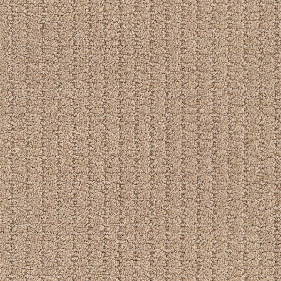 Defined Family Friendly Carpet