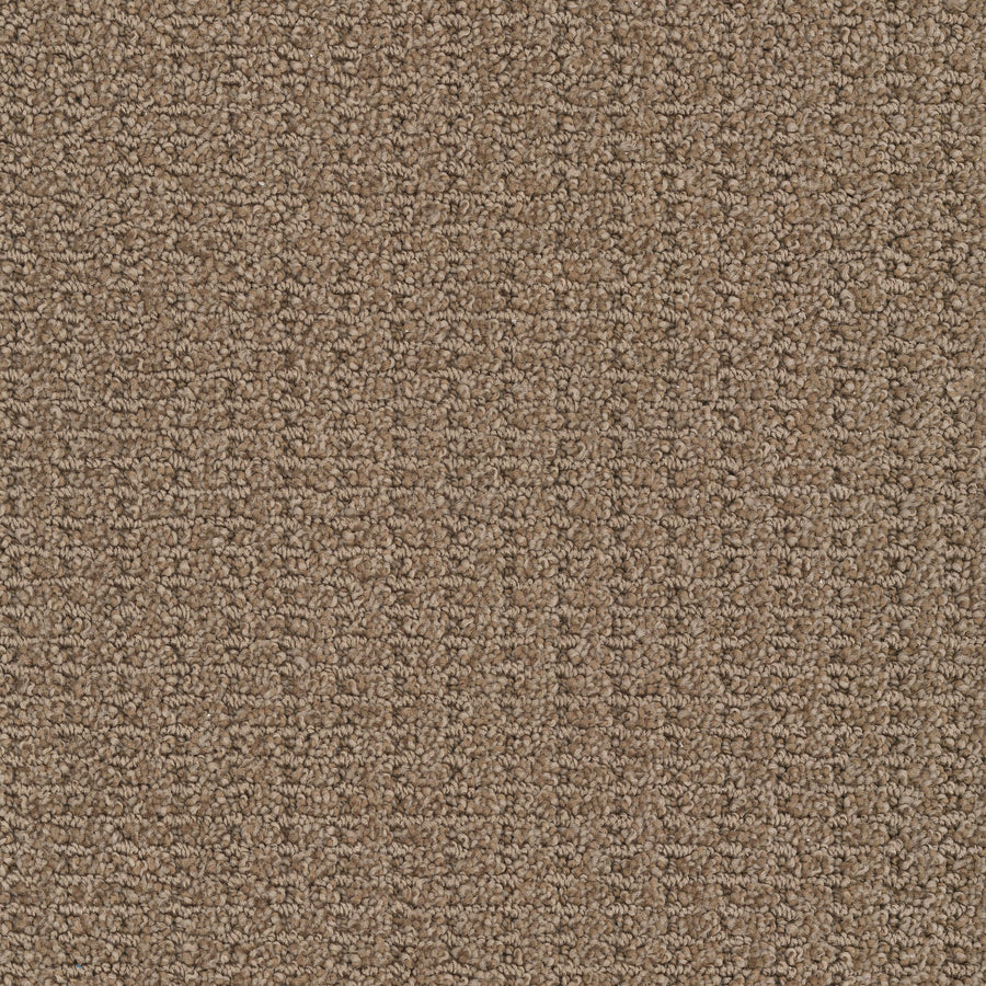 Defined Family Friendly Carpet