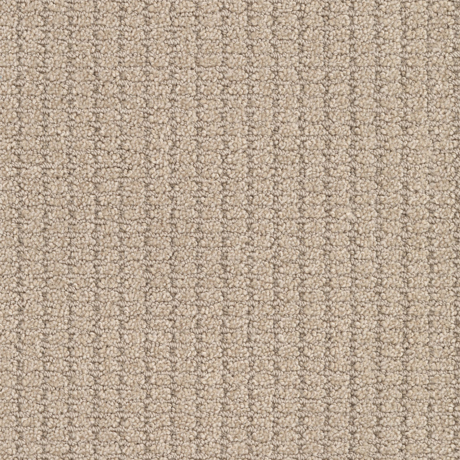 Defined Family Friendly Carpet