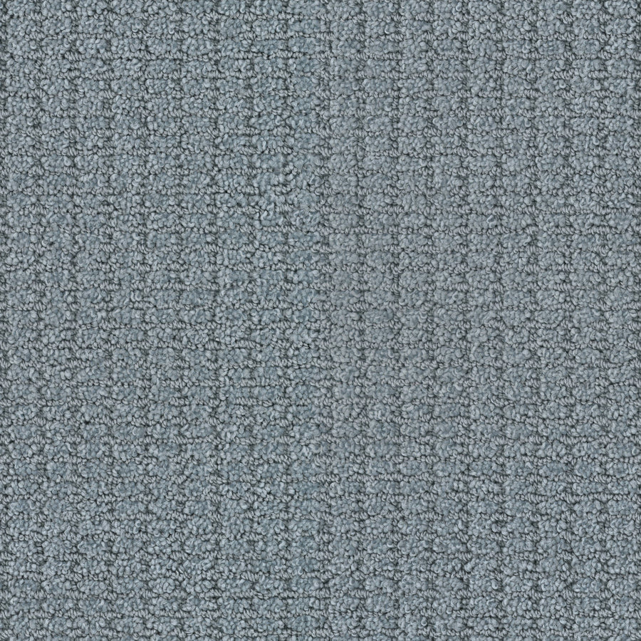 Close-up of Defined Family Friendly Carpet in light gray, featuring a subtle linear pattern, tightly looped fibers, and a soft surface. The image emphasizes its superior quality, fine details, and family-friendly durability.