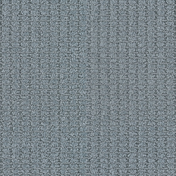 Close-up of Defined Family Friendly Carpet in light gray, featuring a subtle linear pattern, tightly looped fibers, and a soft surface. The image emphasizes its superior quality, fine details, and family-friendly durability.