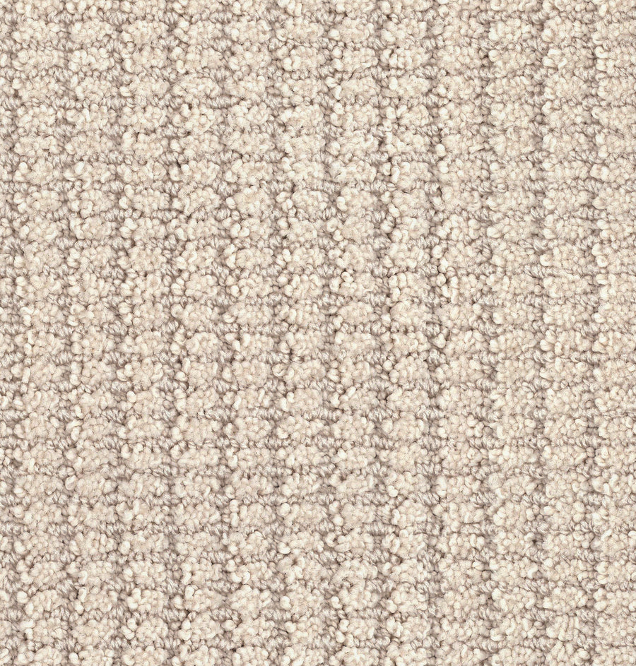 Defined Family Friendly Carpet