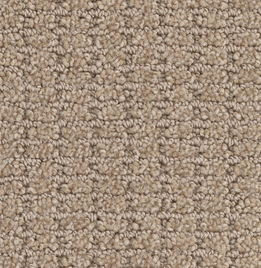 Defined Family Friendly Carpet