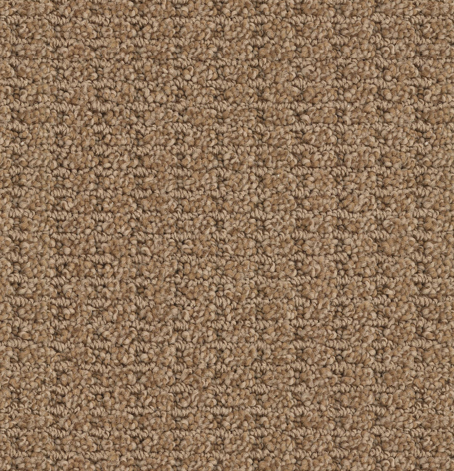 Defined Family Friendly Carpet
