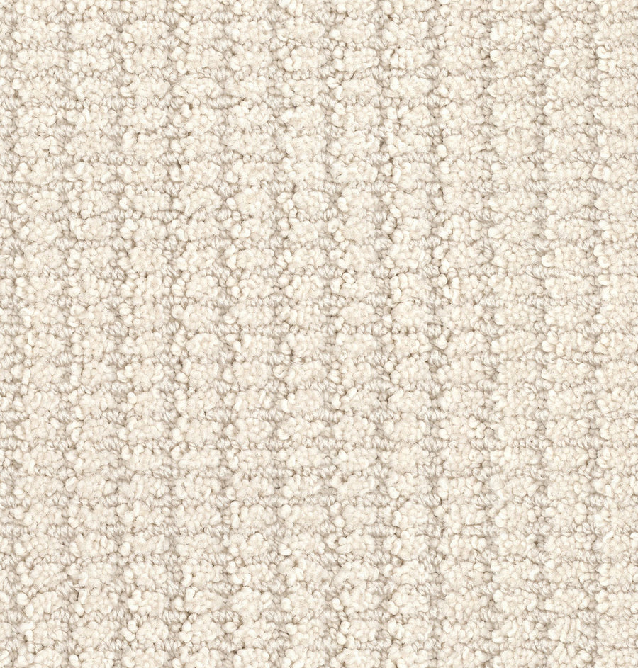 Defined Family Friendly Carpet