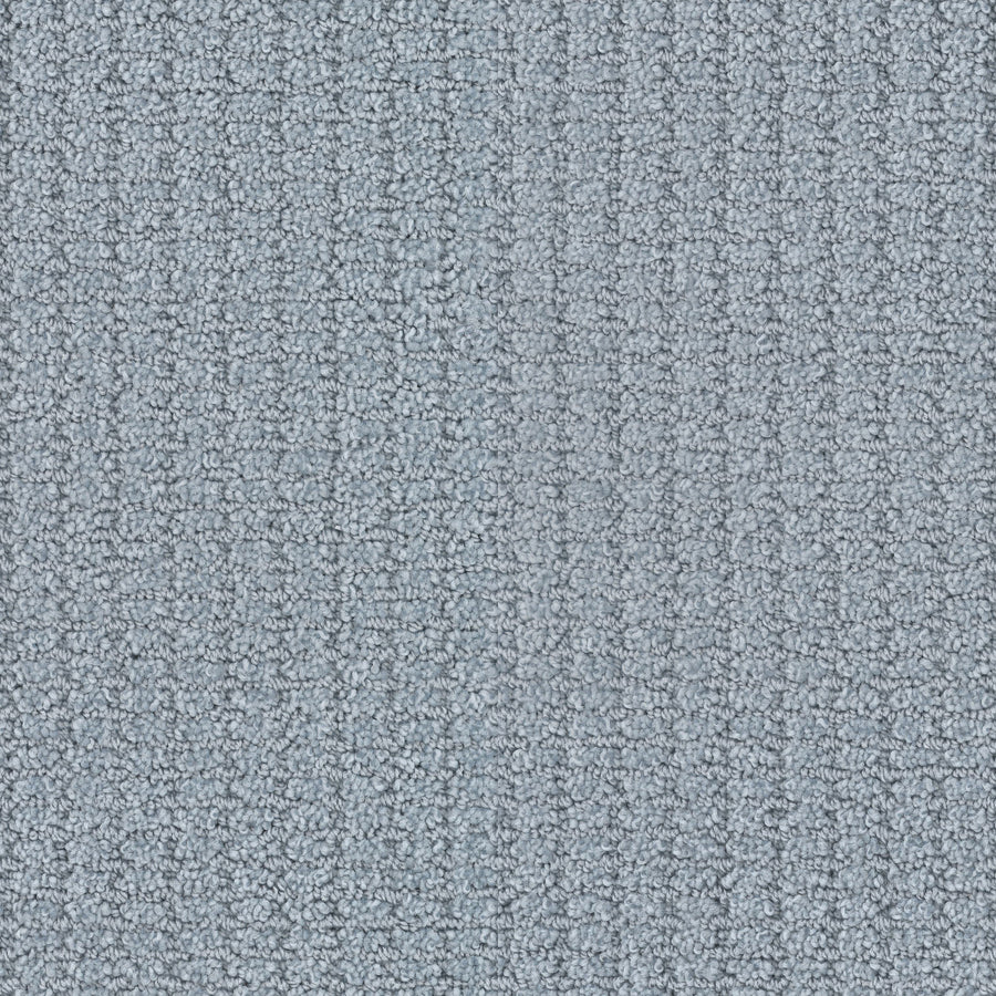 Defined Family Friendly Carpet