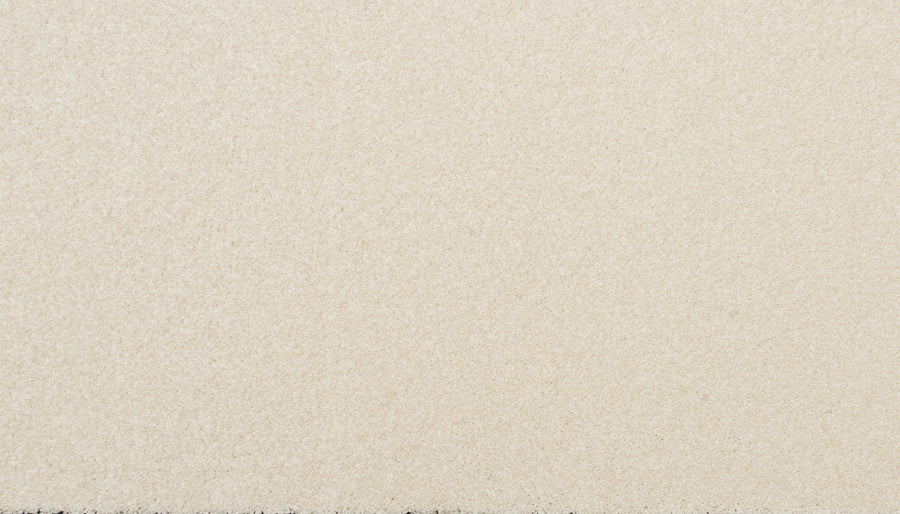 Close-up of the Delicate Shades Pet Friendly Carpet in Pale Lily shows a smooth, evenly textured surface with tiny fibers. The neutral look highlights its elegance, durability, and stain resistance—no visible patterns or objects.