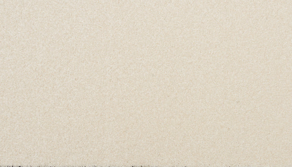 Close-up of the Delicate Shades Pet Friendly Carpet in Pale Lily shows a smooth, evenly textured surface with tiny fibers. The neutral look highlights its elegance, durability, and stain resistance—no visible patterns or objects.