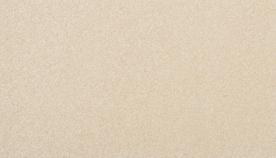 Close-up of Delicate Shades Pet Friendly Carpet in Orchid—a smooth, light beige surface with fine, even grains and uniform texture. Its stain resistance and pet friendly design make it a perfect choice for stylish homes.