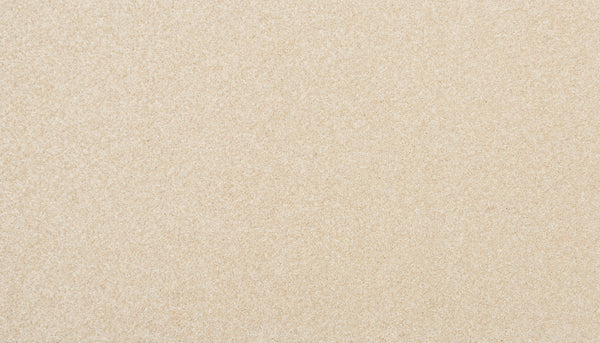 Close-up of Delicate Shades Pet Friendly Carpet in Orchid—a smooth, light beige surface with fine, even grains and uniform texture. Its stain resistance and pet friendly design make it a perfect choice for stylish homes.