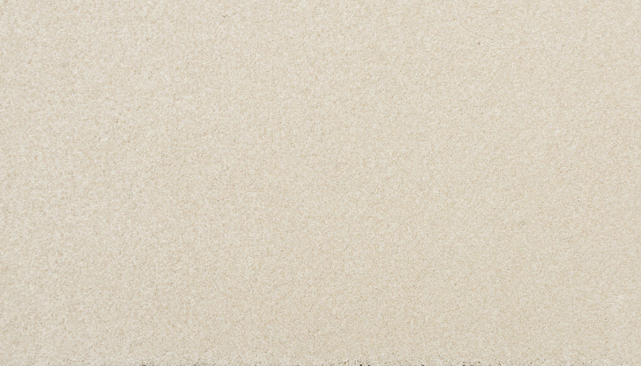 Close-up of Delicate Shades Pet Friendly Carpet in White Rose, featuring a smooth surface with fine grains and an even, elegant texture.