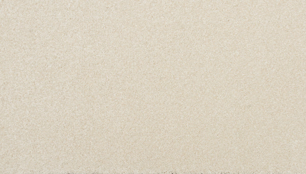 Close-up of Delicate Shades Pet Friendly Carpet in White Rose, featuring a smooth surface with fine grains and an even, elegant texture.