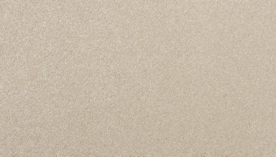 Close-up of Delicate Shades Pet Friendly Carpet in Peony—features a smooth, fine texture and light beige hue, combining luxury with stain resistance and pet-friendly durability for elegant style in any space.