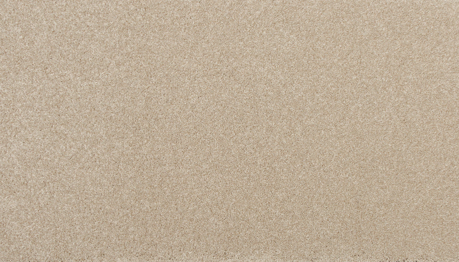 A close-up of Delicate Shades Pet Friendly Carpet in Dahlia color, showcasing its smooth, light beige tone and fine, even texture reminiscent of pristine sand—luxurious and free of footprints or patterns.