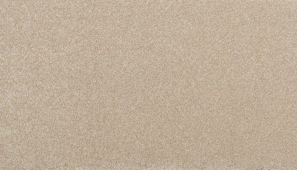 A close-up of Delicate Shades Pet Friendly Carpet in Dahlia color, showcasing its smooth, light beige tone and fine, even texture reminiscent of pristine sand—luxurious and free of footprints or patterns.