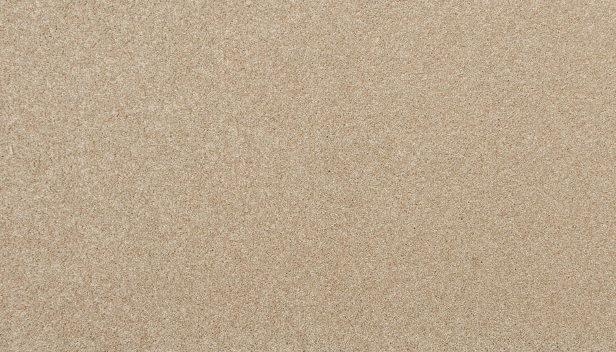 Close-up of Delicate Shades Pet Friendly Carpet in Carved, showing a smooth, even surface and fine, granular texture that evokes the soft look of luxury.