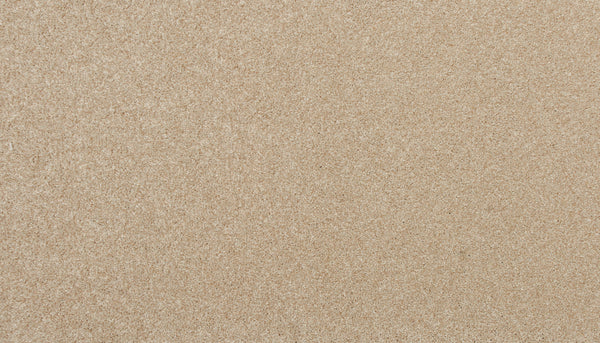 Close-up of Delicate Shades Pet Friendly Carpet in Carved, showing a smooth, even surface and fine, granular texture that evokes the soft look of luxury.