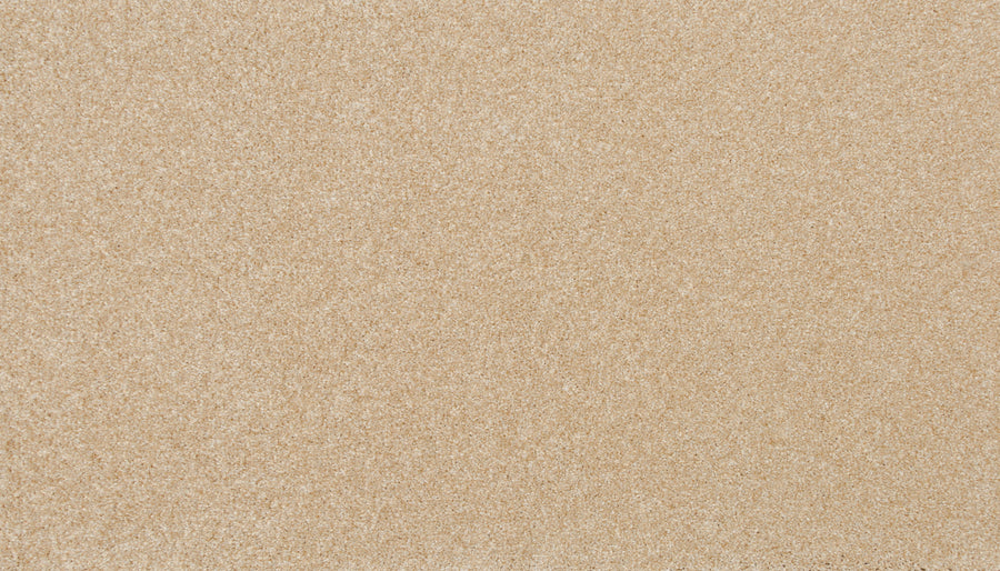 Close-up view of Delicate Shades Pet Friendly Carpet in Anemones, showcasing its smooth, even surface and fine, uniform texture similar to light beige sand.