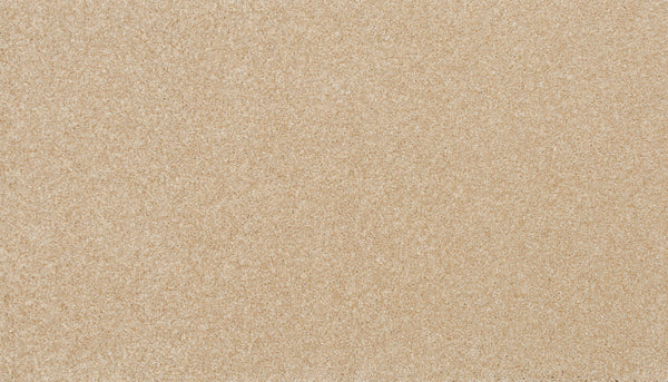 Close-up view of Delicate Shades Pet Friendly Carpet in Anemones, showcasing its smooth, even surface and fine, uniform texture similar to light beige sand.