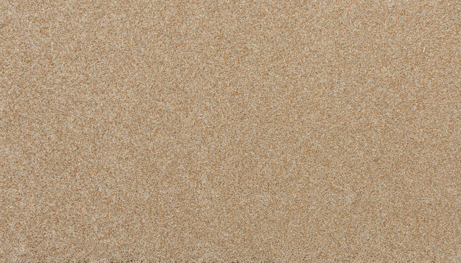 A close-up of Delicate Shades Pet Friendly Carpet in Ranunculus shows fine, even grains and a smooth, consistent texture—offering the subtle elegance and appearance reminiscent of luxury carpeting.