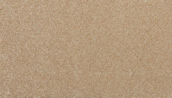 A close-up of Delicate Shades Pet Friendly Carpet in Ranunculus shows fine, even grains and a smooth, consistent texture—offering the subtle elegance and appearance reminiscent of luxury carpeting.