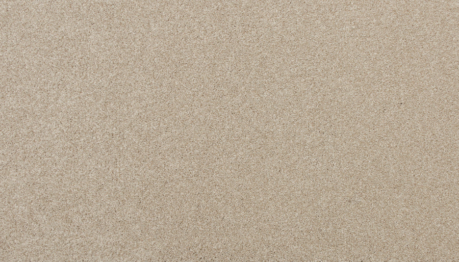A close-up of the Delicate Shades Pet Friendly Carpet in Gardenia reveals its smooth, fine-grained surface and soft, natural texture—exuding elegance and comfort while being perfect for homes with pets.