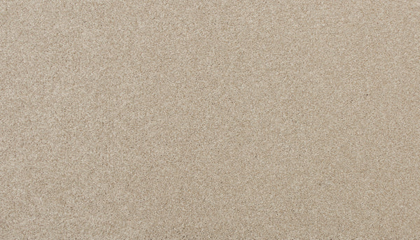 A close-up of the Delicate Shades Pet Friendly Carpet in Gardenia reveals its smooth, fine-grained surface and soft, natural texture—exuding elegance and comfort while being perfect for homes with pets.