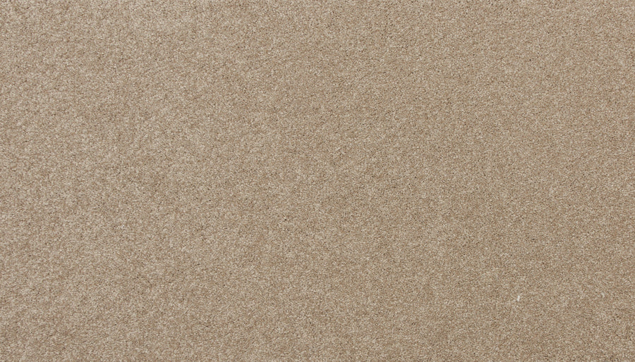 Close-up of the smooth, even surface of Delicate Shades Pet Friendly Carpet in Calla, featuring fine light brown tones for a soft, textured look—perfect for stylish, practical homes seeking stain resistance.